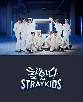 找到了StrayKids收藏版